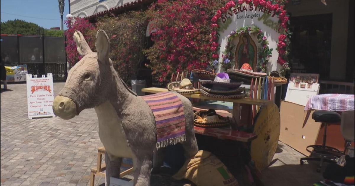 Los Angeles City Council Saves Olvera Street Donkey