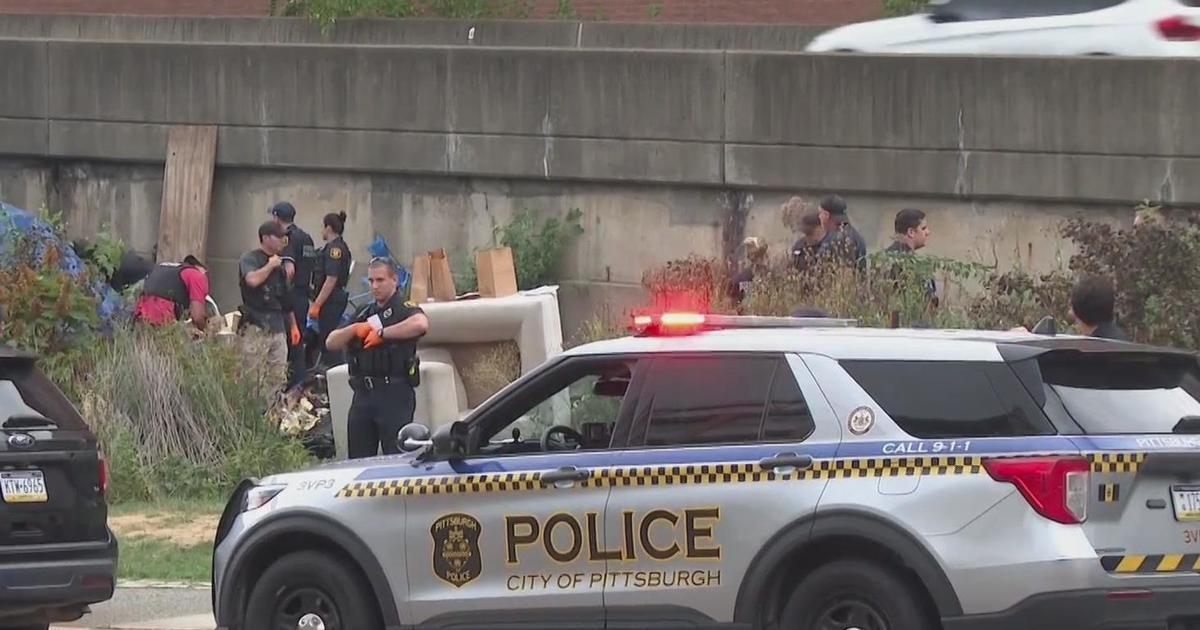 Five Arrested in Pittsburgh Homeless Encampment Raid