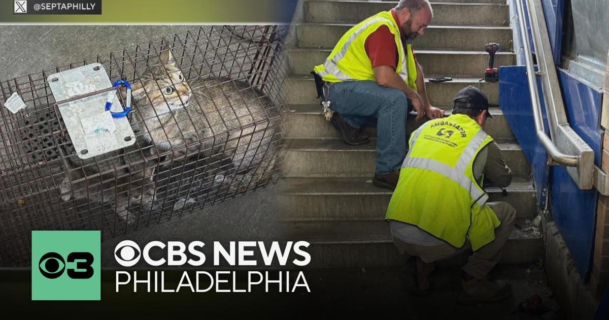 SEPTA Rescues Mother Cat and Kittens