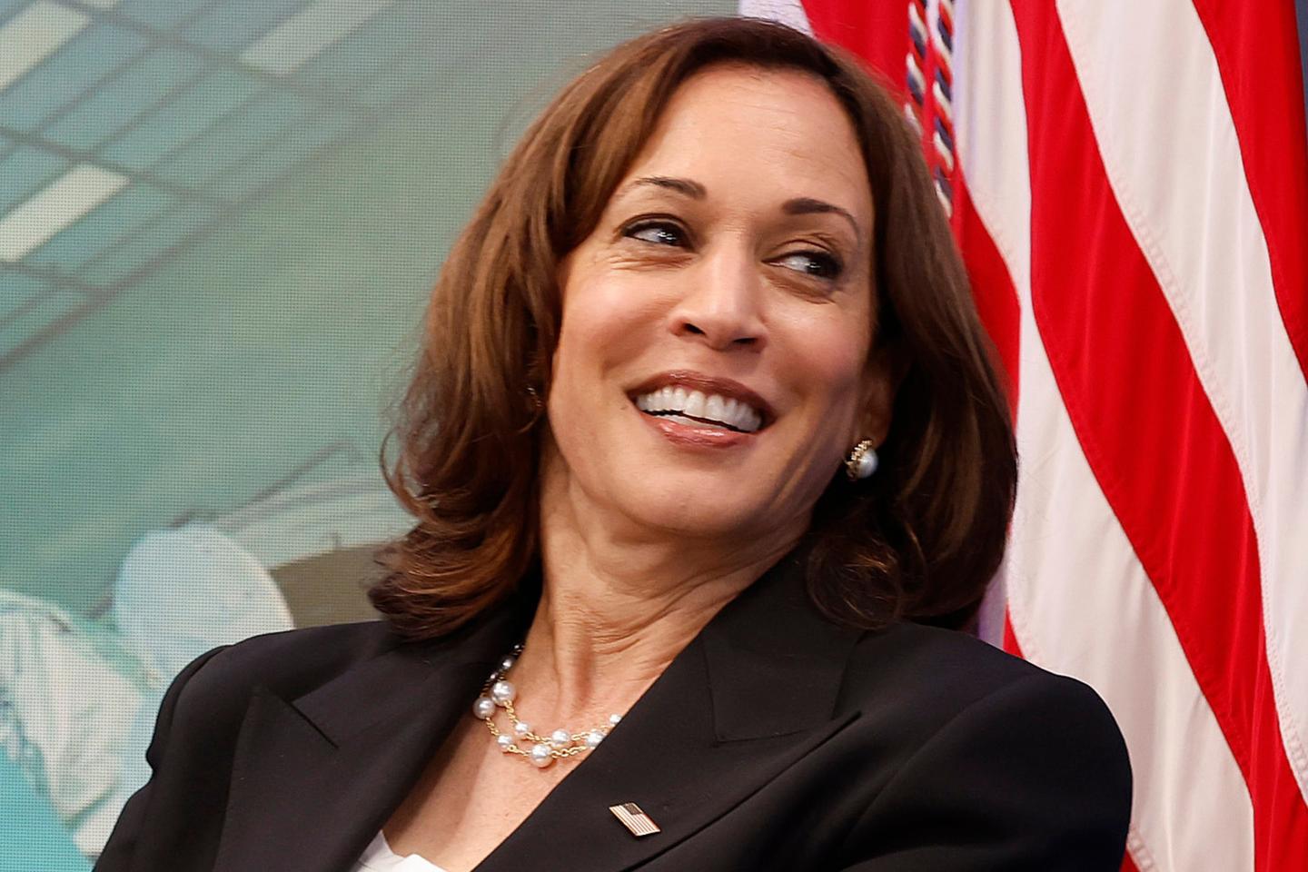 Kamala Harris Embraces 'Brat' Trend in Campaign