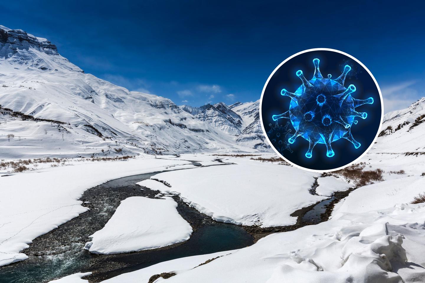 Ancient Viruses Found in Tibetan Glacier Ice