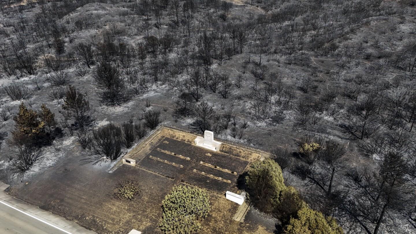 Wildfires Force Evacuations in Western Turkey