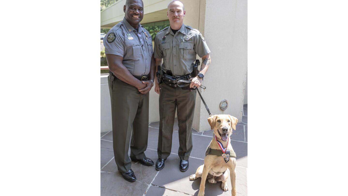 Mississippi Officer and K-9 honored for Rescue