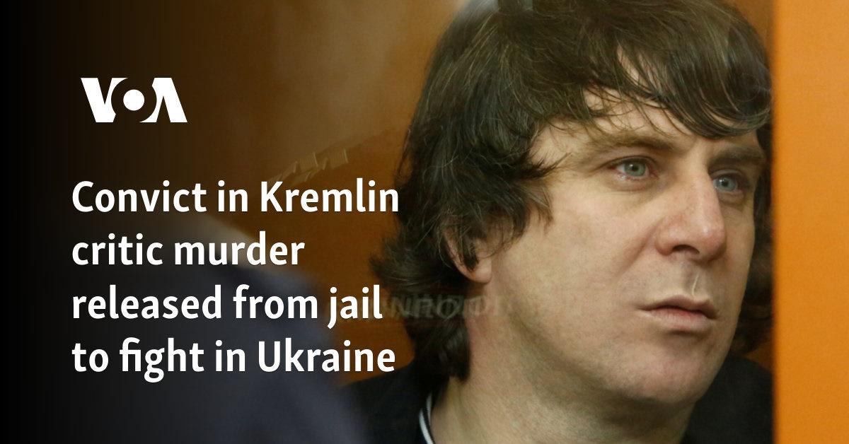 Convicted Murderer Released to Join Ukraine Fight