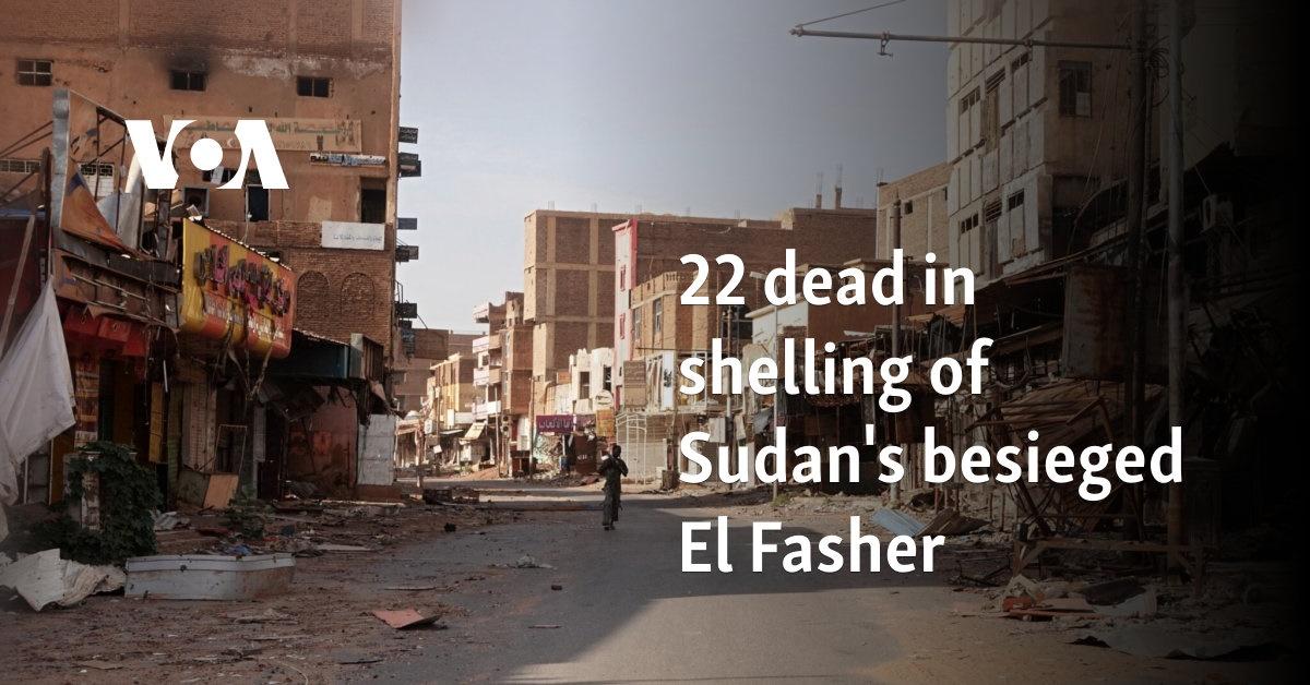 22 killed in Darfur