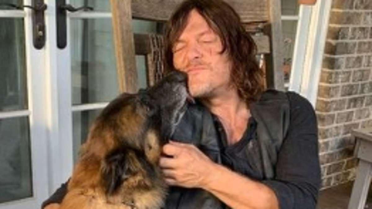 The Walking Dead Cast Pays Tribute to Dog Actor