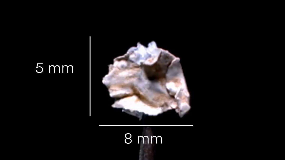 New Evidence Reveals Pure Aluminum Found at Roswell UFO Crash Site