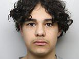 Teen Killer of Alfie Lewis Named and Sentenced to Life Imprisonment