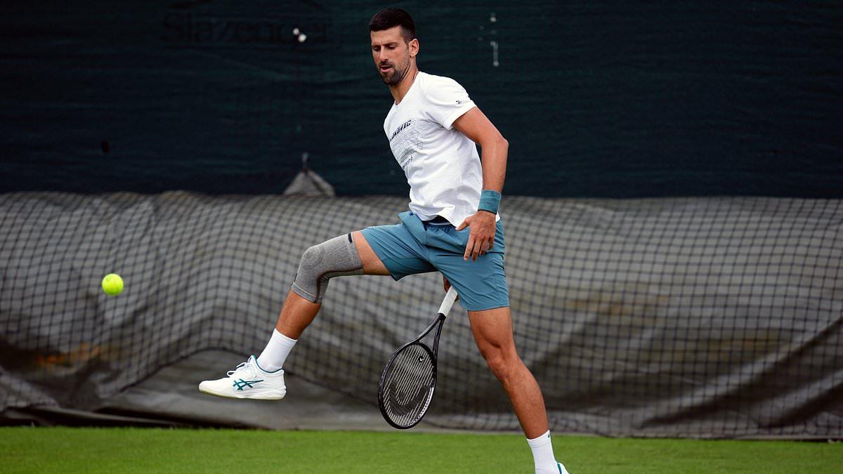 Novak Djokovic's Wimbledon Participation Uncertain Amid Recovery; Andy Murray Hopes to Compete