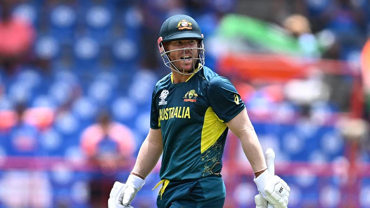 David Warner Retires Following Australia's T20 World Cup Exit