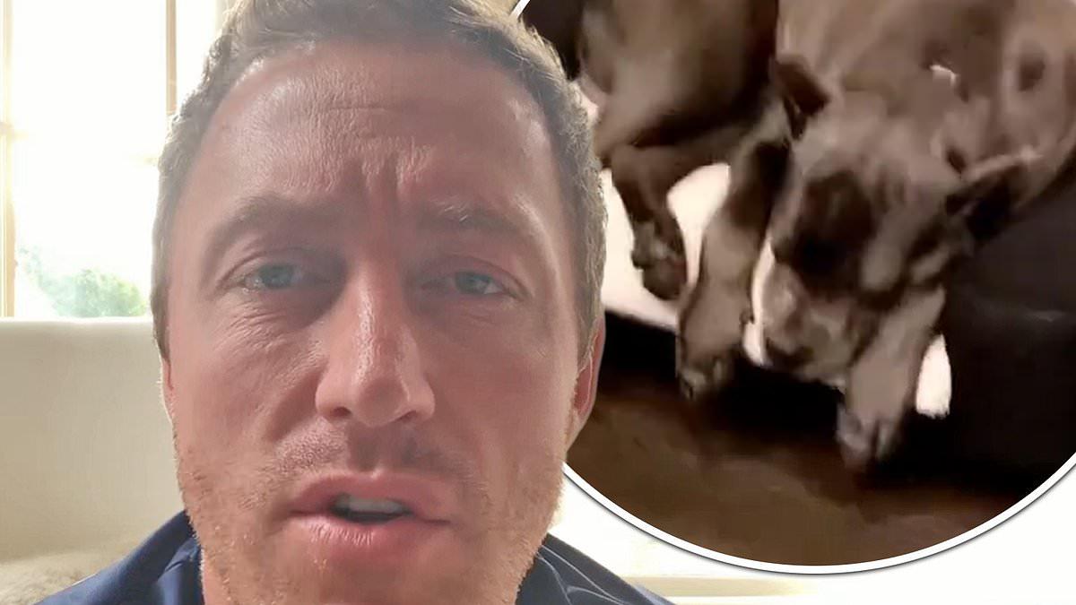 Kroy Biermann Cited Over Dog Incident in Georgia