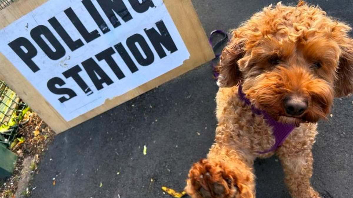 UK Election Day Sees Pets, High Stakes