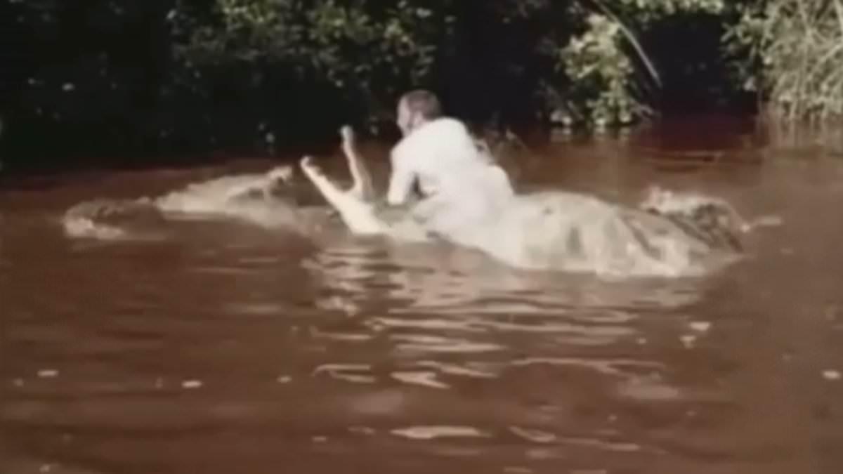 Crocodile Encounter at Malcolm Douglas Crocodile Park