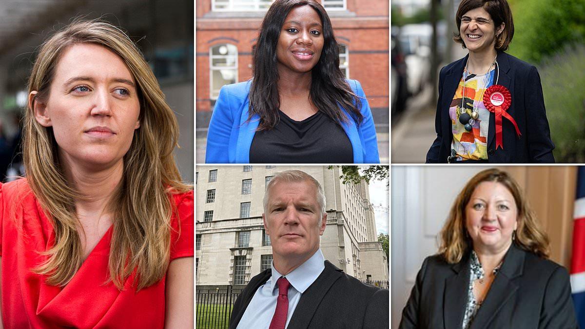 Labour MPs Appointed to Ministerial Roles in UK Government