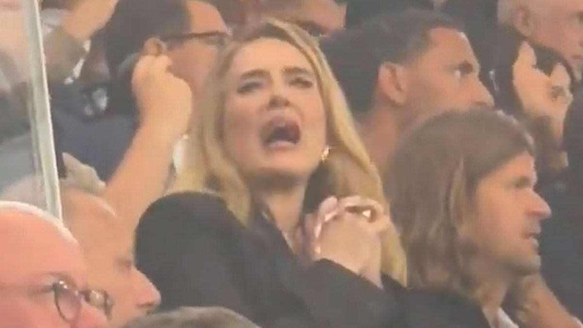 Adele Cheers on England at Euros Semifinal