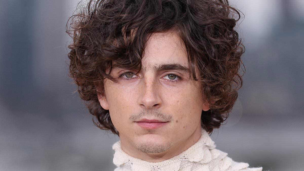 Timothée Chalamet to Star in A24 Film Marty Supreme