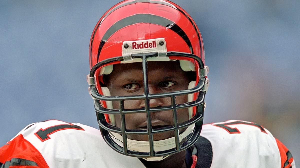 Willie Anderson Blames 'The Blind Side' for Snub