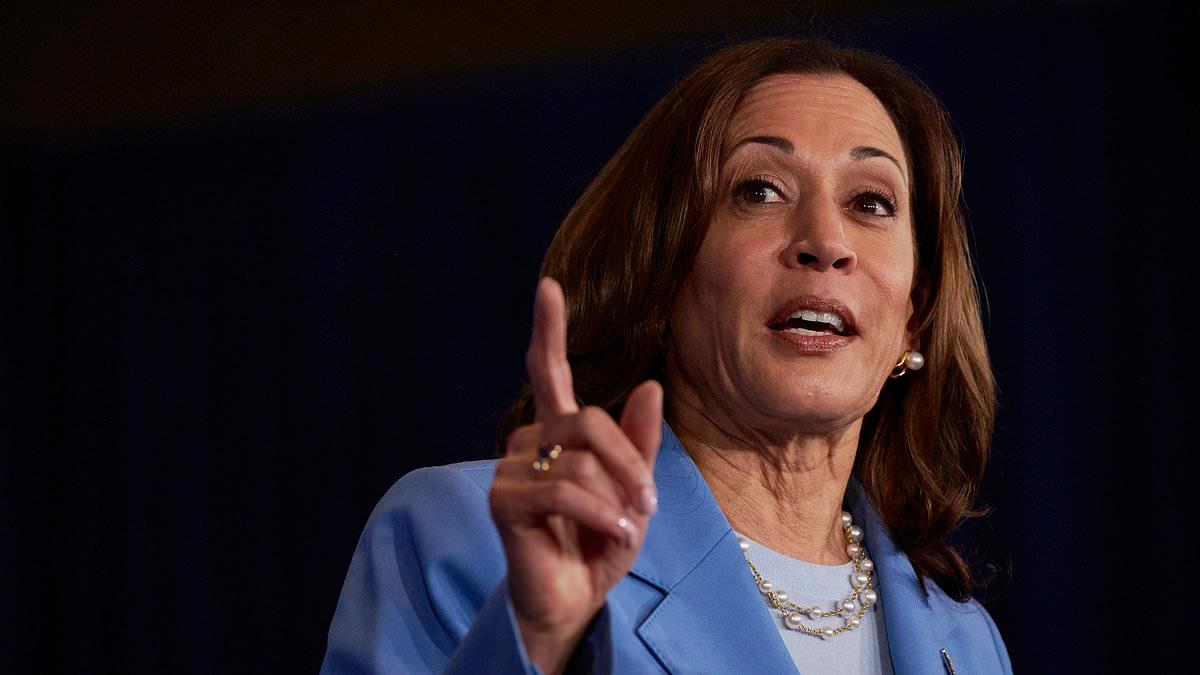 House Condemns Harris on Border Handling