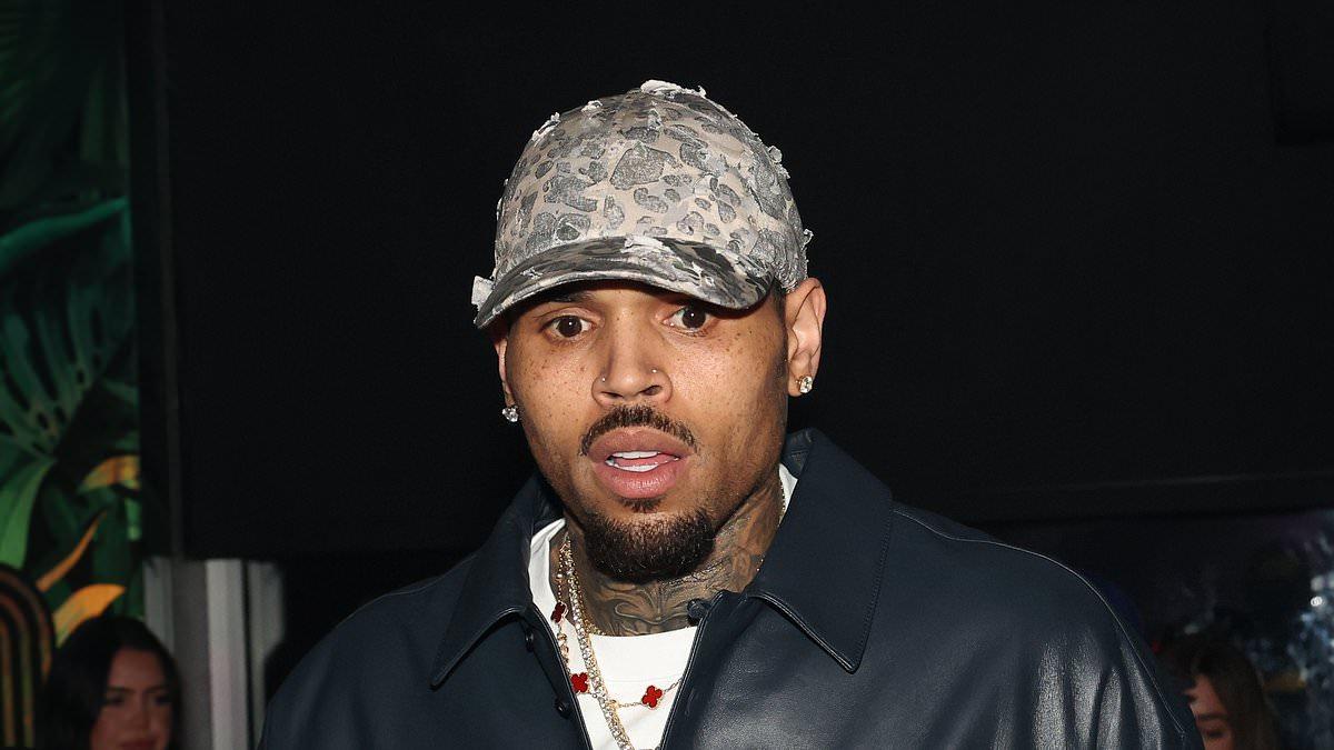 Chris Brown Sued for $50 Million Over Assault