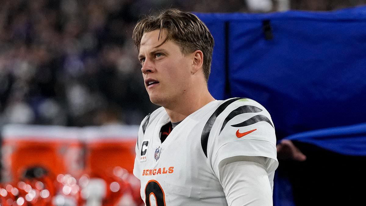 Joe Burrow Cleared for 2024 NFL Season