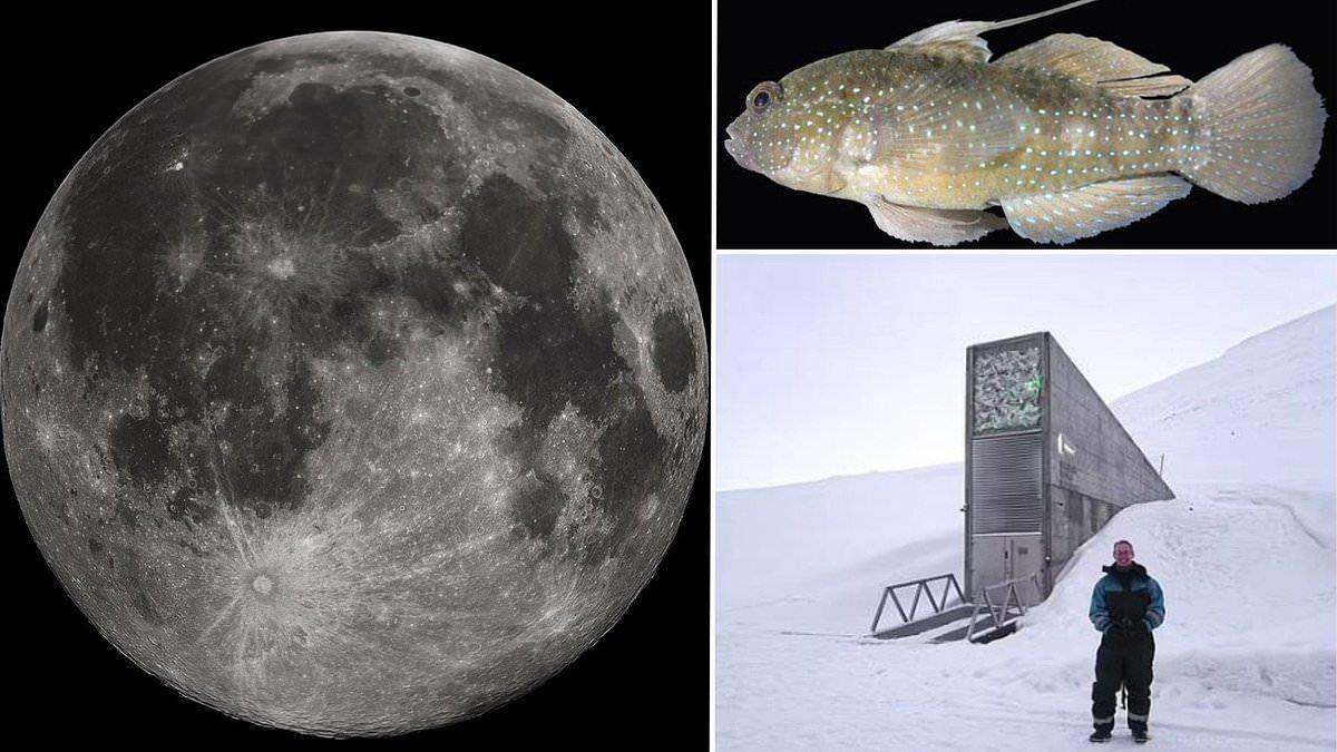 Scientists Propose Lunar Biorepository for Endangered DNA