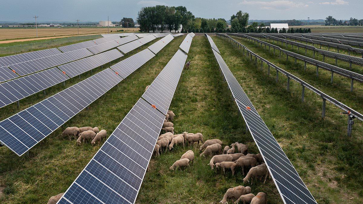 Michigan farmers on solar power