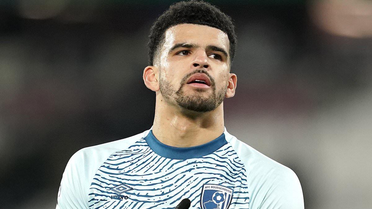 Tottenham Pursue Solanke in Active Transfer Window