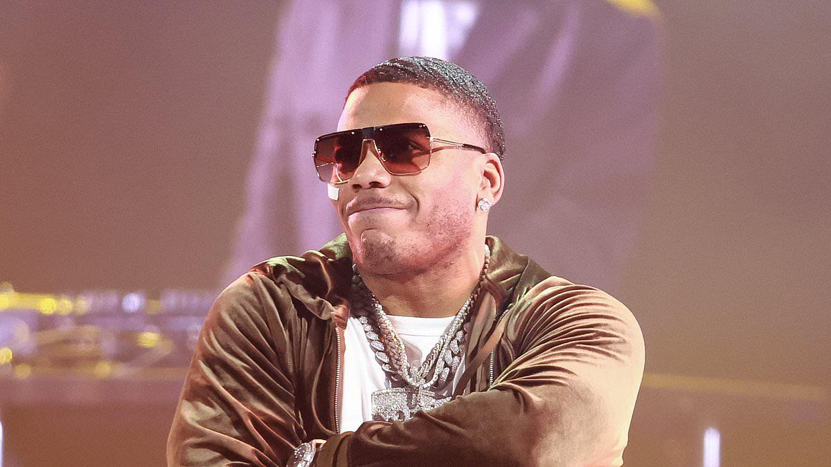 Nelly targeted by police