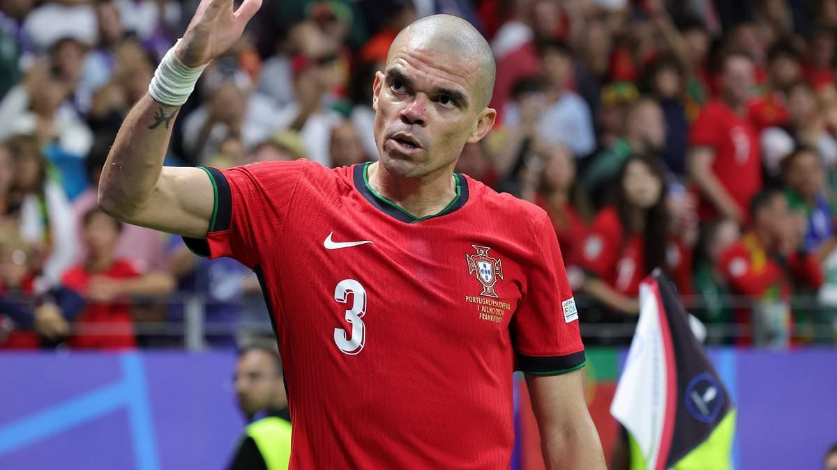 Portugal's Pepe Retires at Age 41