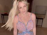 Britney Faces Backlash Over Versace Dress Post