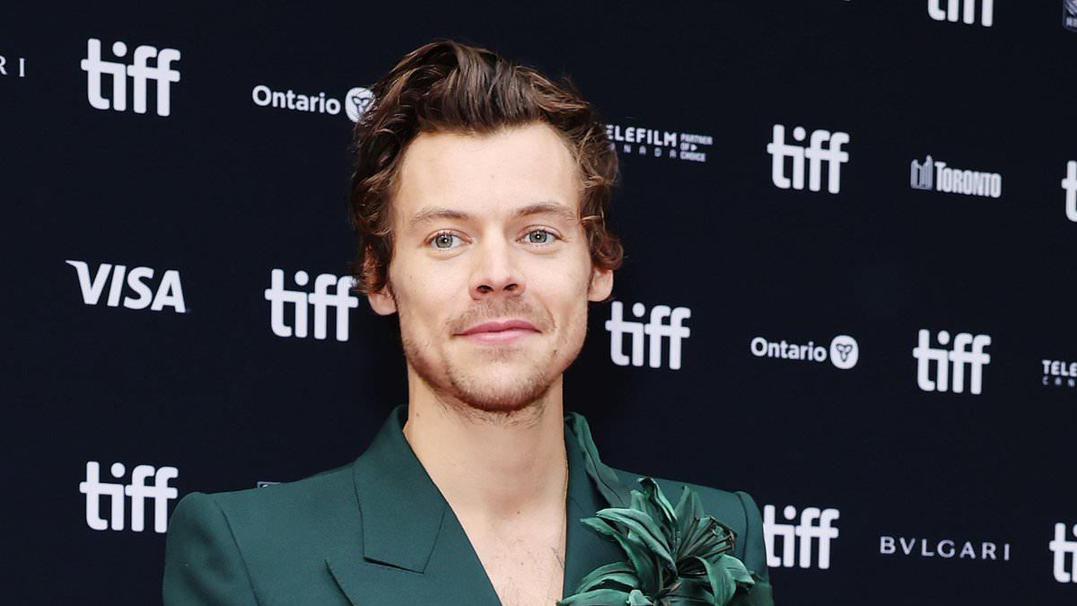 Harry Styles sparks romance rumors