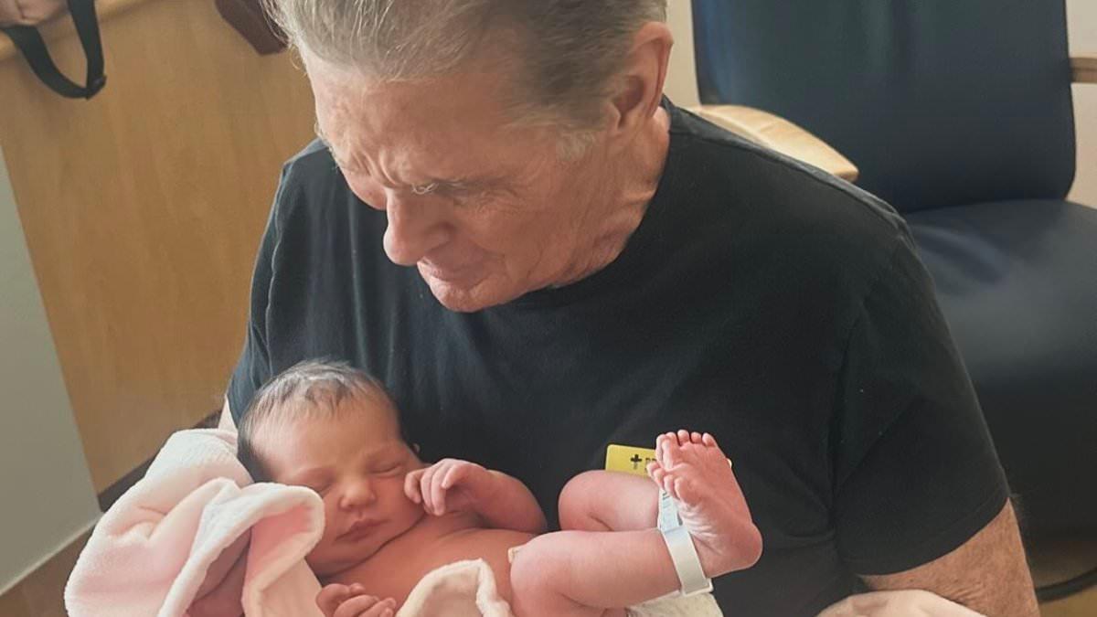 David Hasselhoff Welcomes First Grandchild