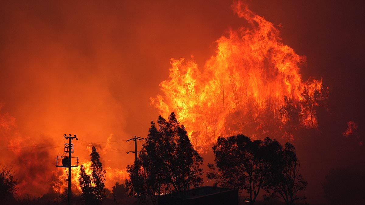 Forest fires in Turkey