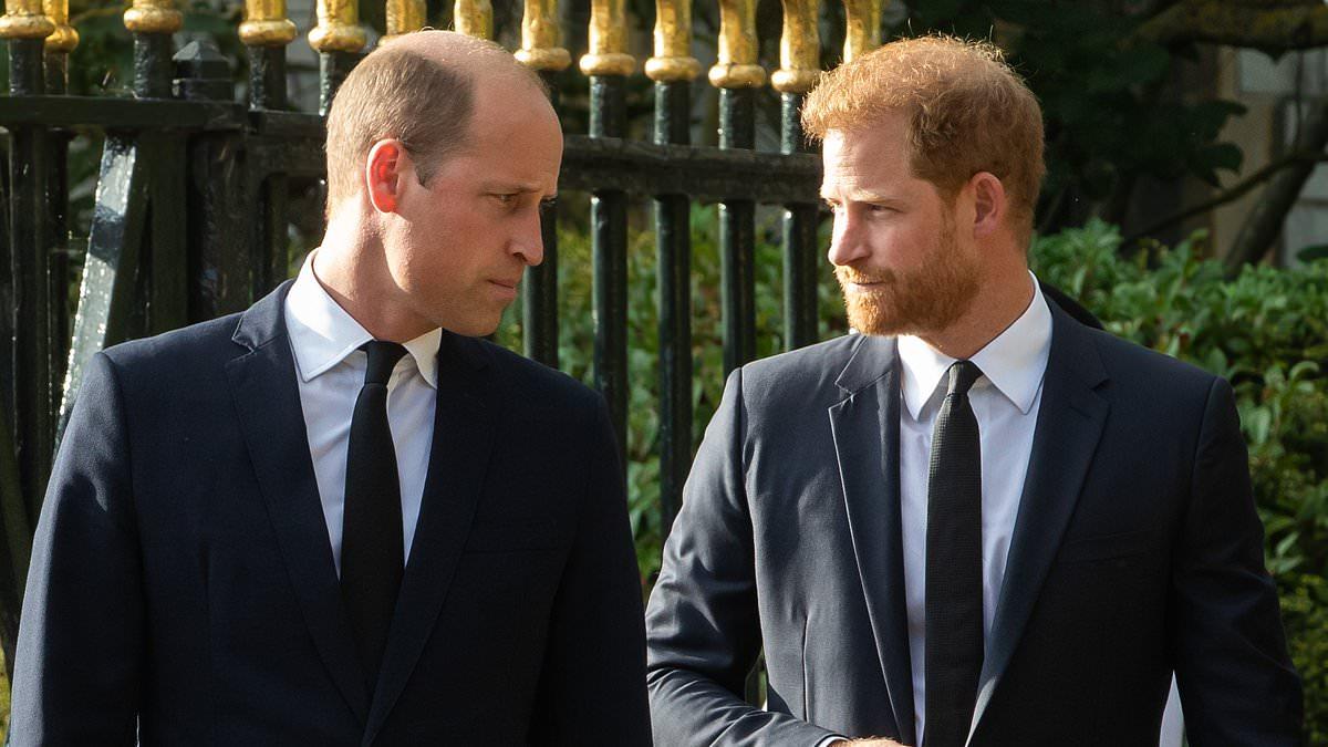 Harry and William's Rift Worsens Amidst Family Strife