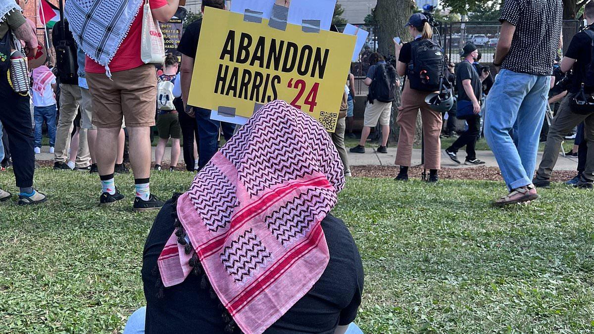 Protests at Democratic National Convention Over Gaza