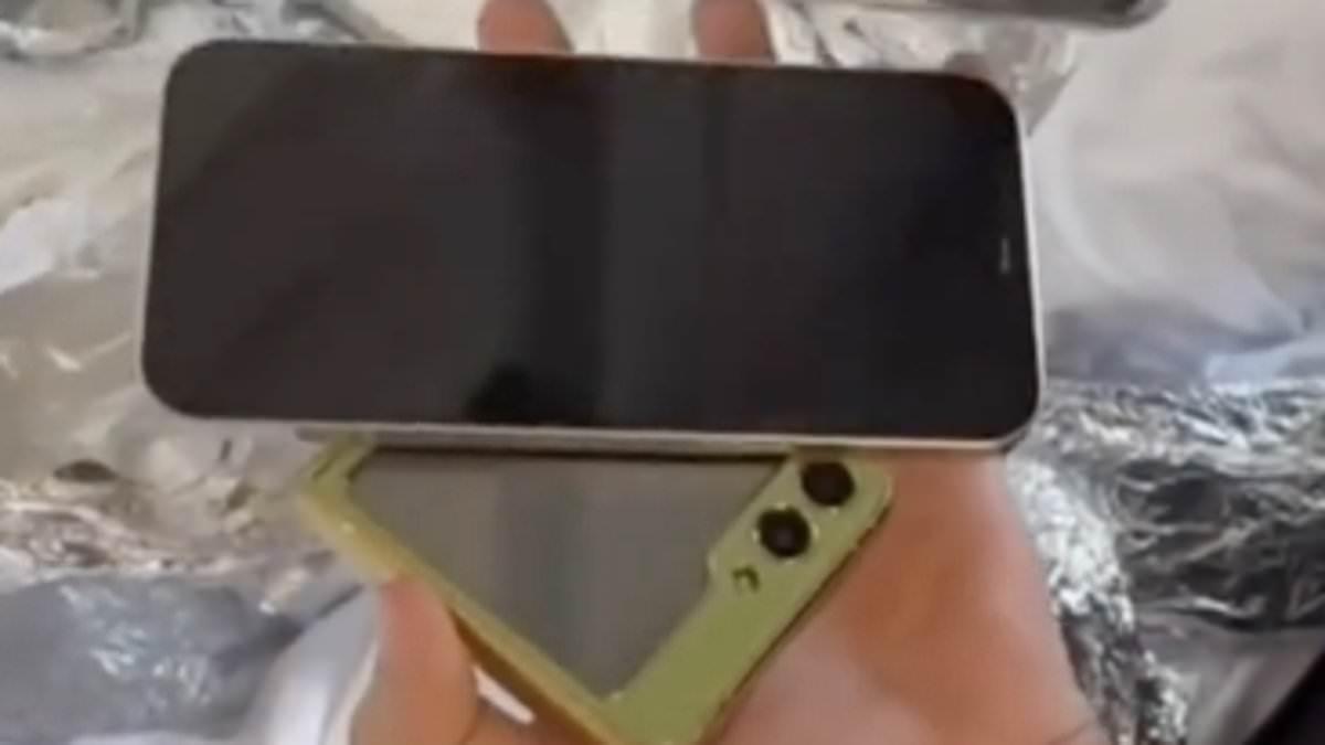 Romanian Man Arrested for Smuggling Stolen Phones