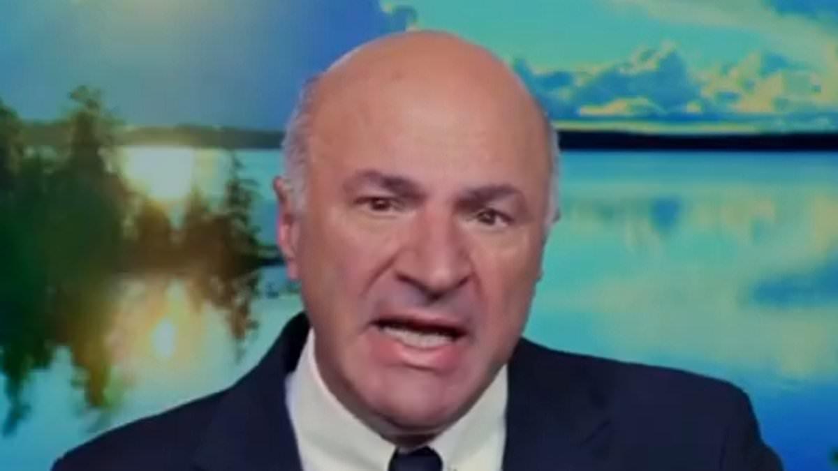 O'Leary Warns Against Harris Nomination