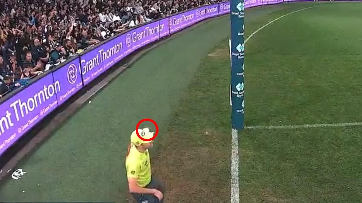 Fan Charged for Throwing Bottle at Umpire