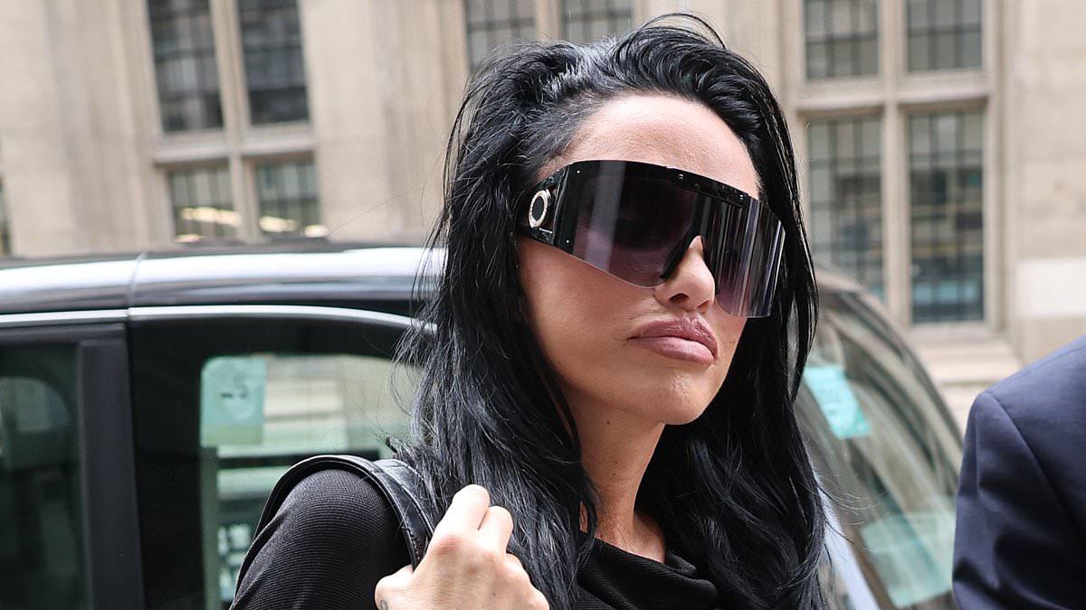 Katie Price Bankruptcy Hearing Adjourned Again