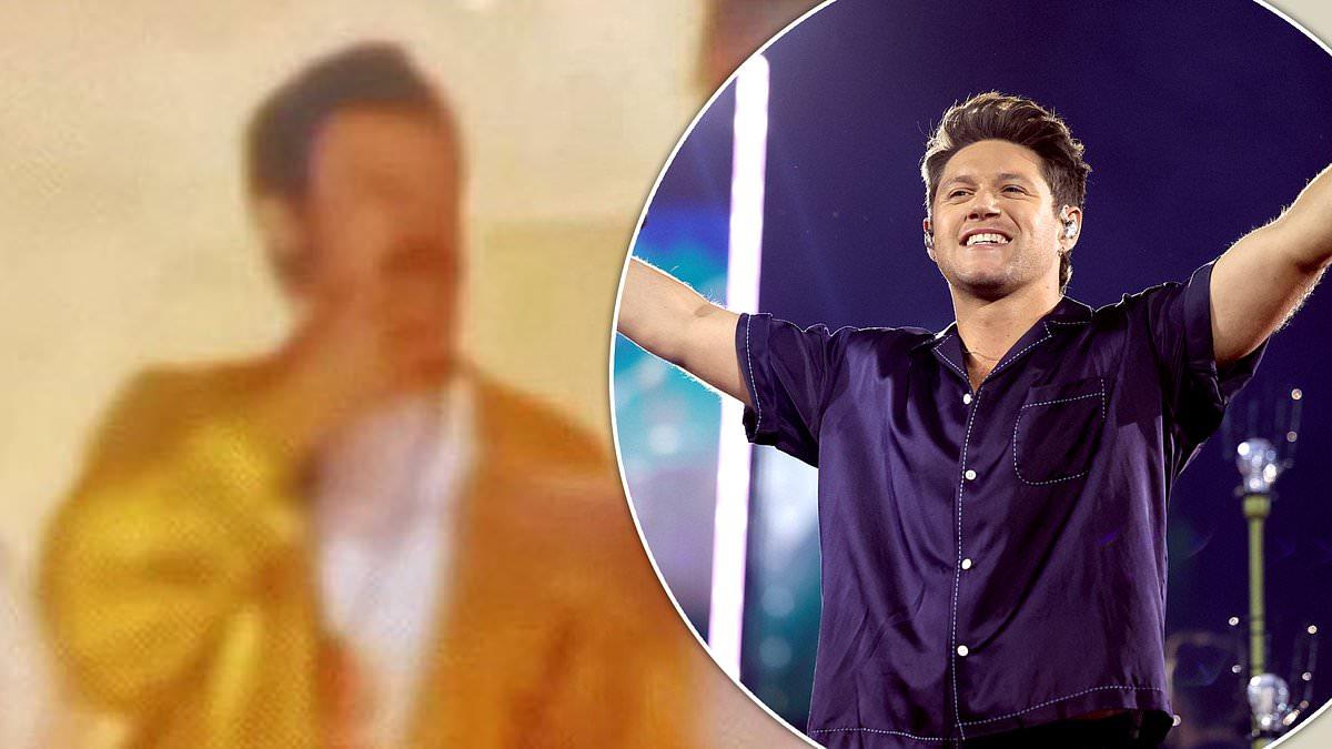 Harry Styles Surprises at Niall Horan Concert