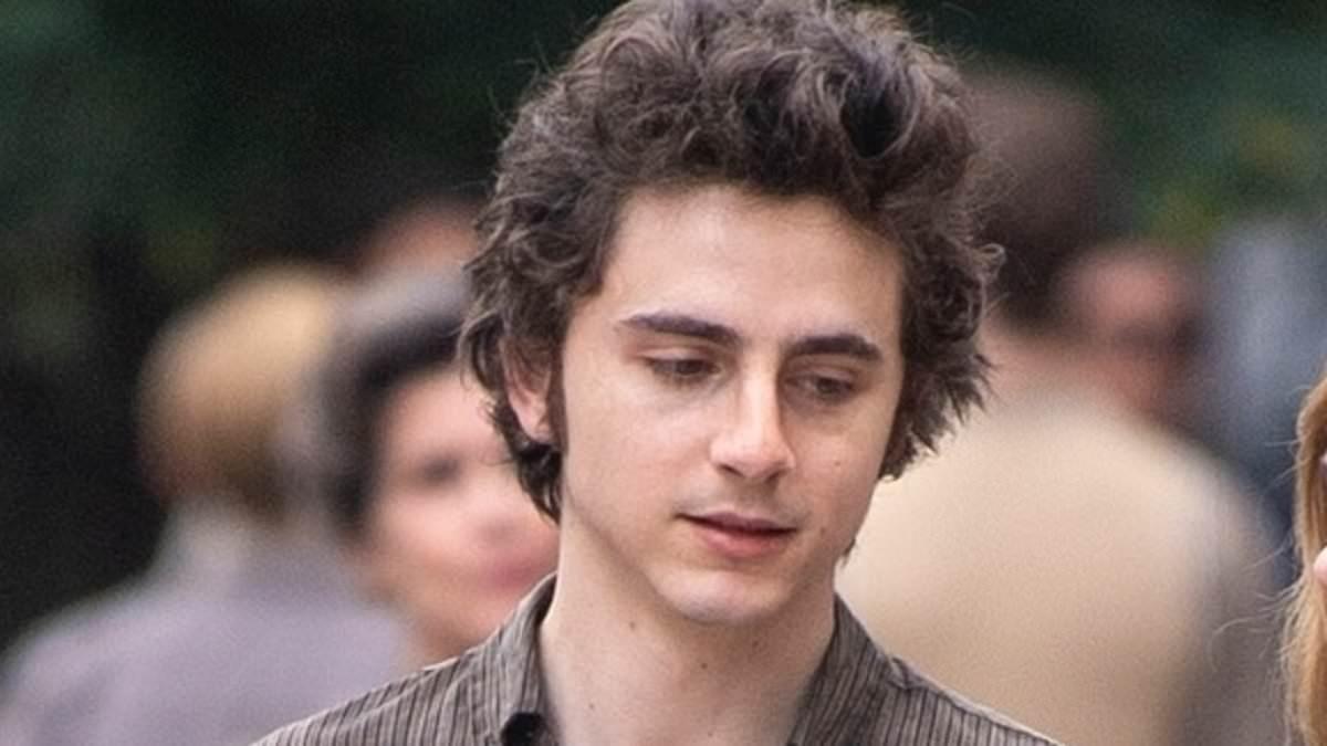 Timothée Chalamet Stars in Bob Dylan Biopic