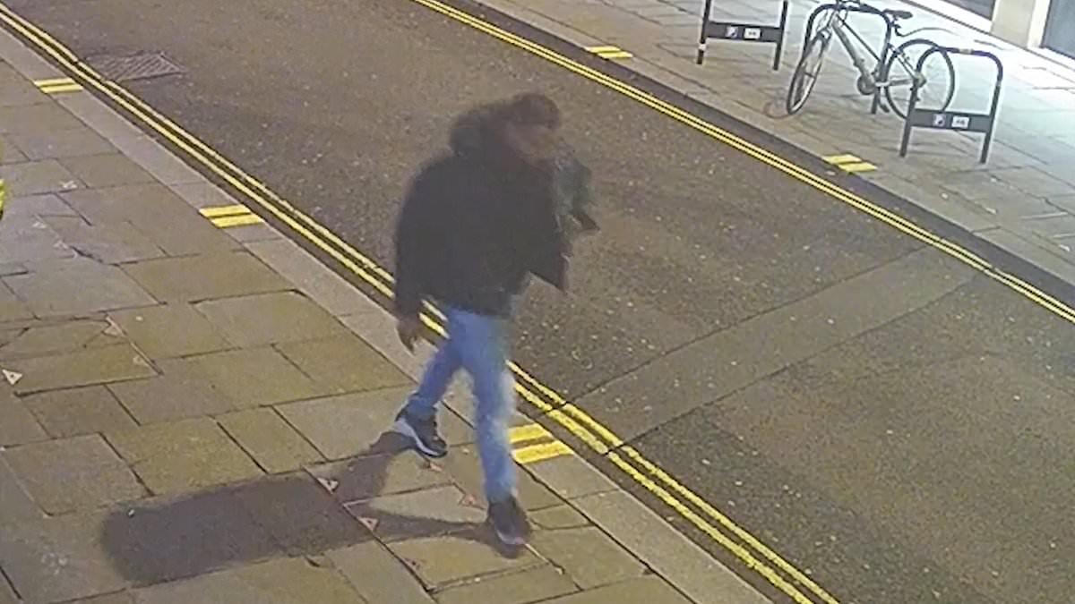 CCTV Footage Released in London Rape Case