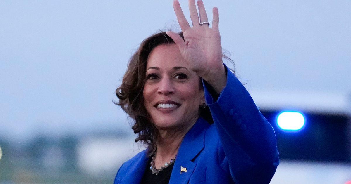 Democrats Convene to Nominate Kamala Harris