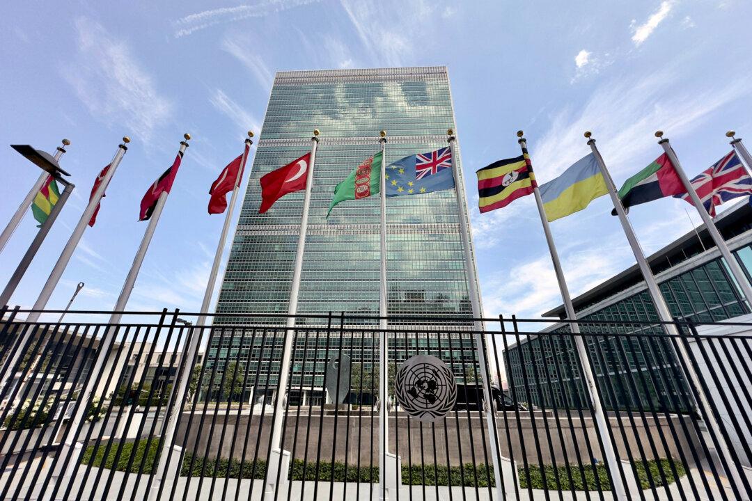 UN Passes Global Cybercrime Treaty Amid Concerns