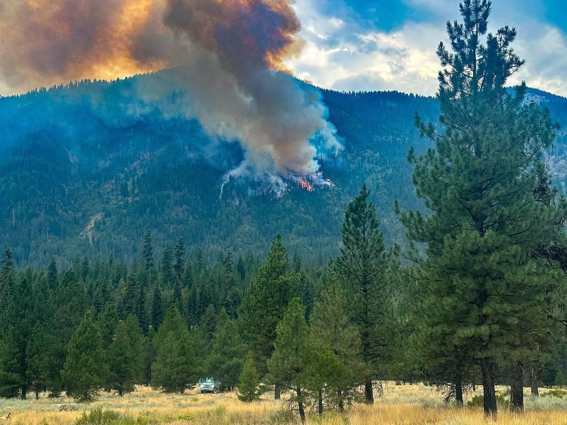 Idaho Leaders Propose Wildfire Mitigation Plan