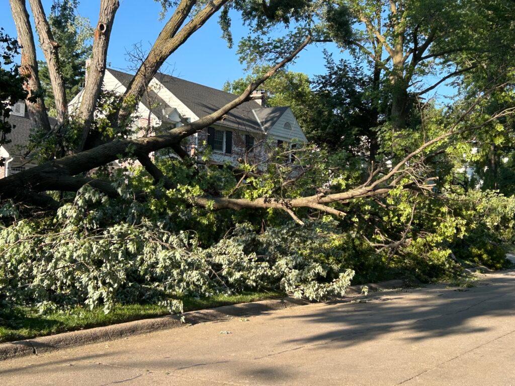 Nebraska Governor Declares State of Emergency