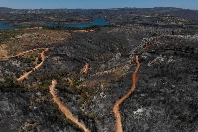 Investigation Underway Into Greece Wildfire Cause