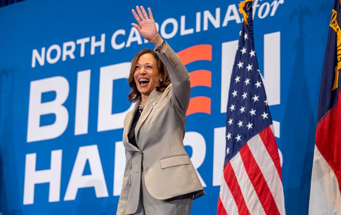 Harris's Candidacy Sparks Diverse Reactions