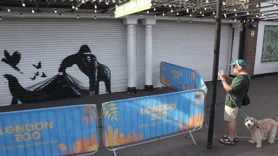 Banksy Unveils Latest Animal-Themed Murals in London