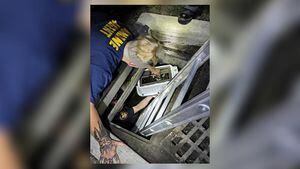 Kitten rescued from storm drain